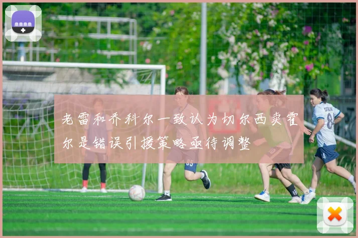 老雷和乔科尔一致认为切尔西卖霍尔是错误引援策略亟待调整